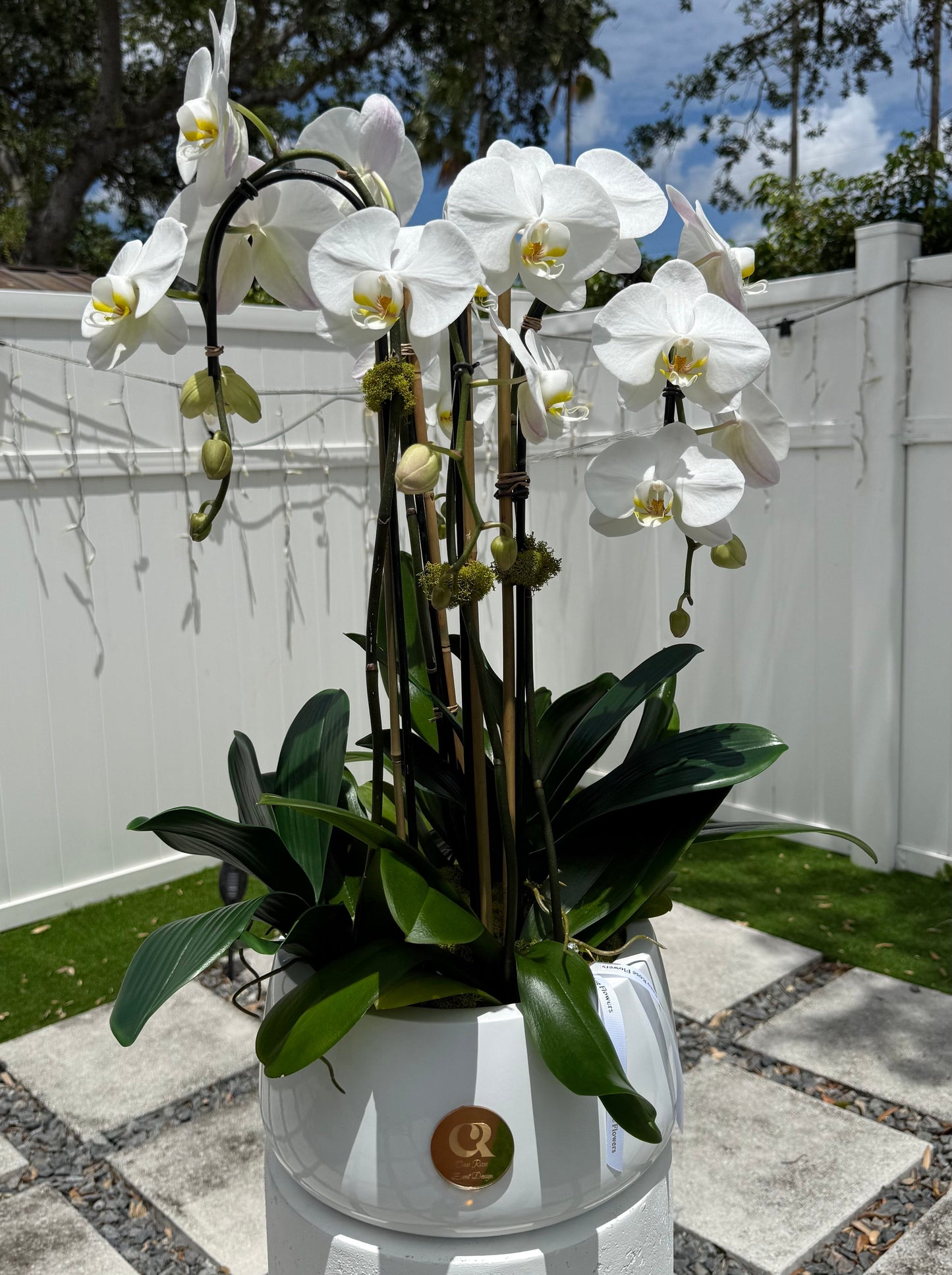 Orchid Elegance Luxe