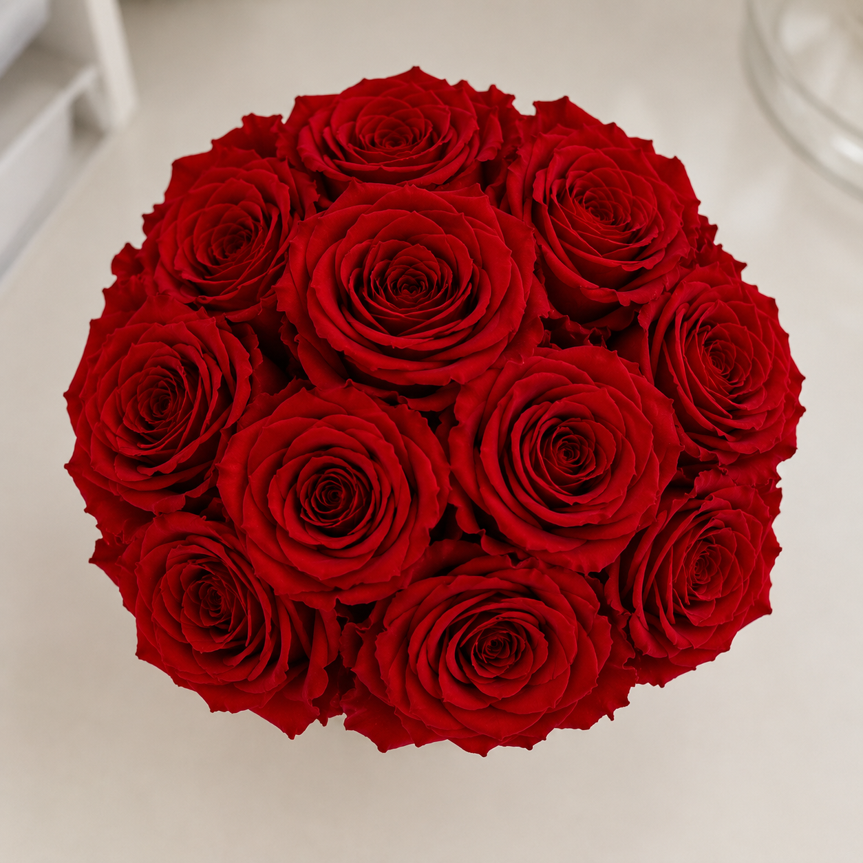 12 Preserved Red Roses in White Ceramic Vase