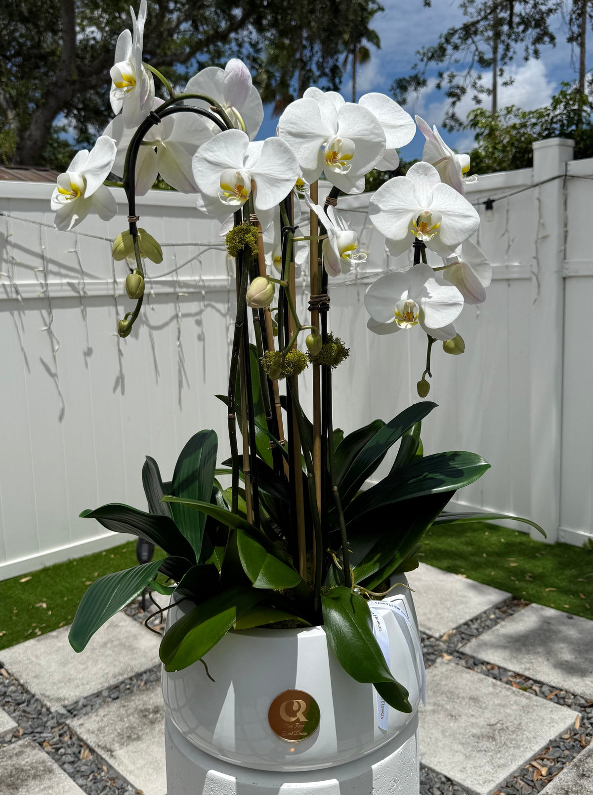 Orchid Elegance Luxe