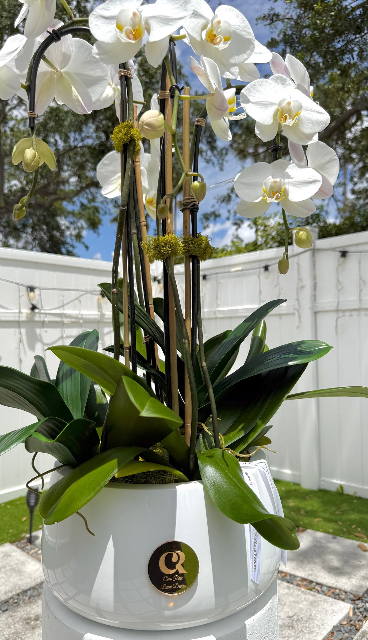 Orchid Elegance Luxe