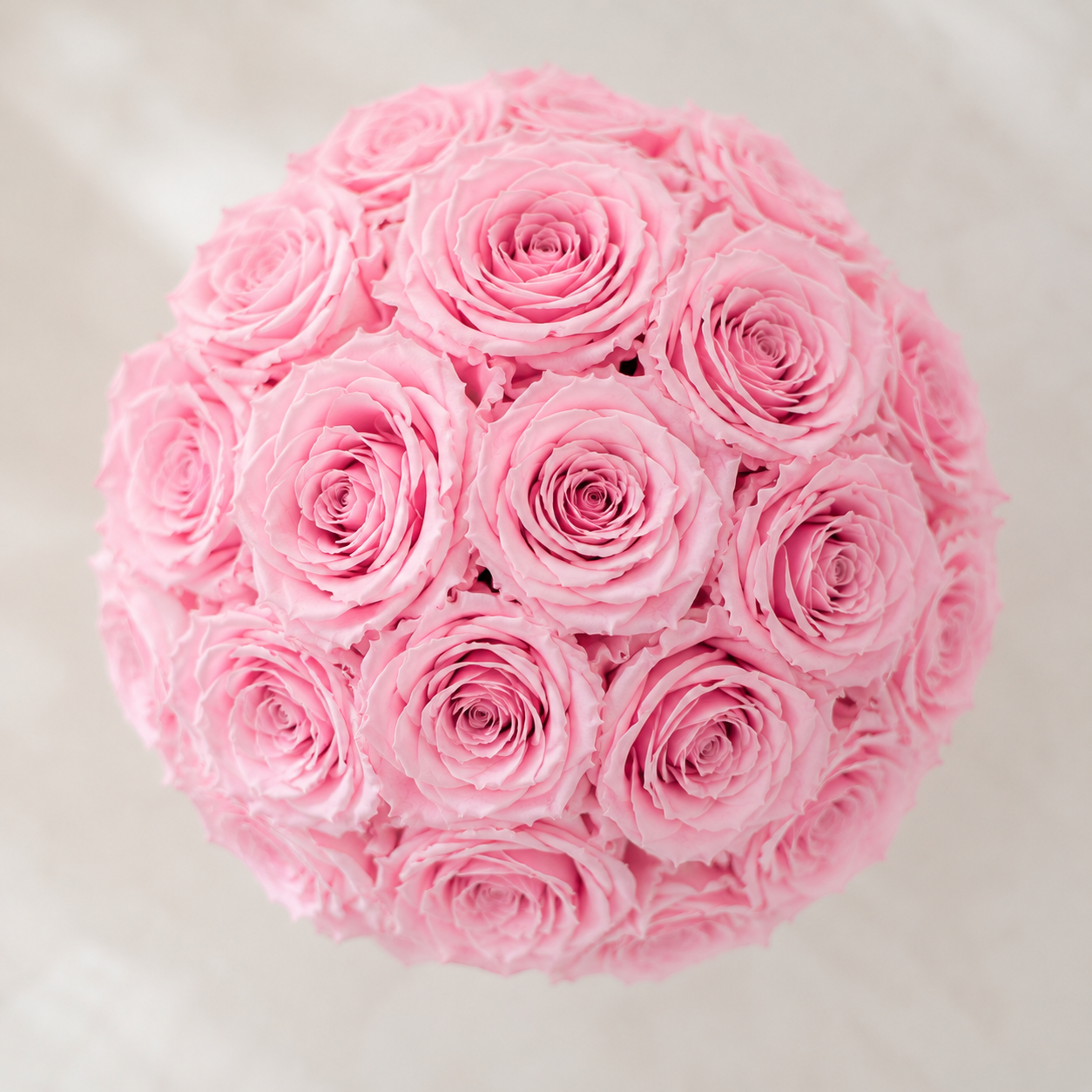 Pink Preserved Rose Arrangement