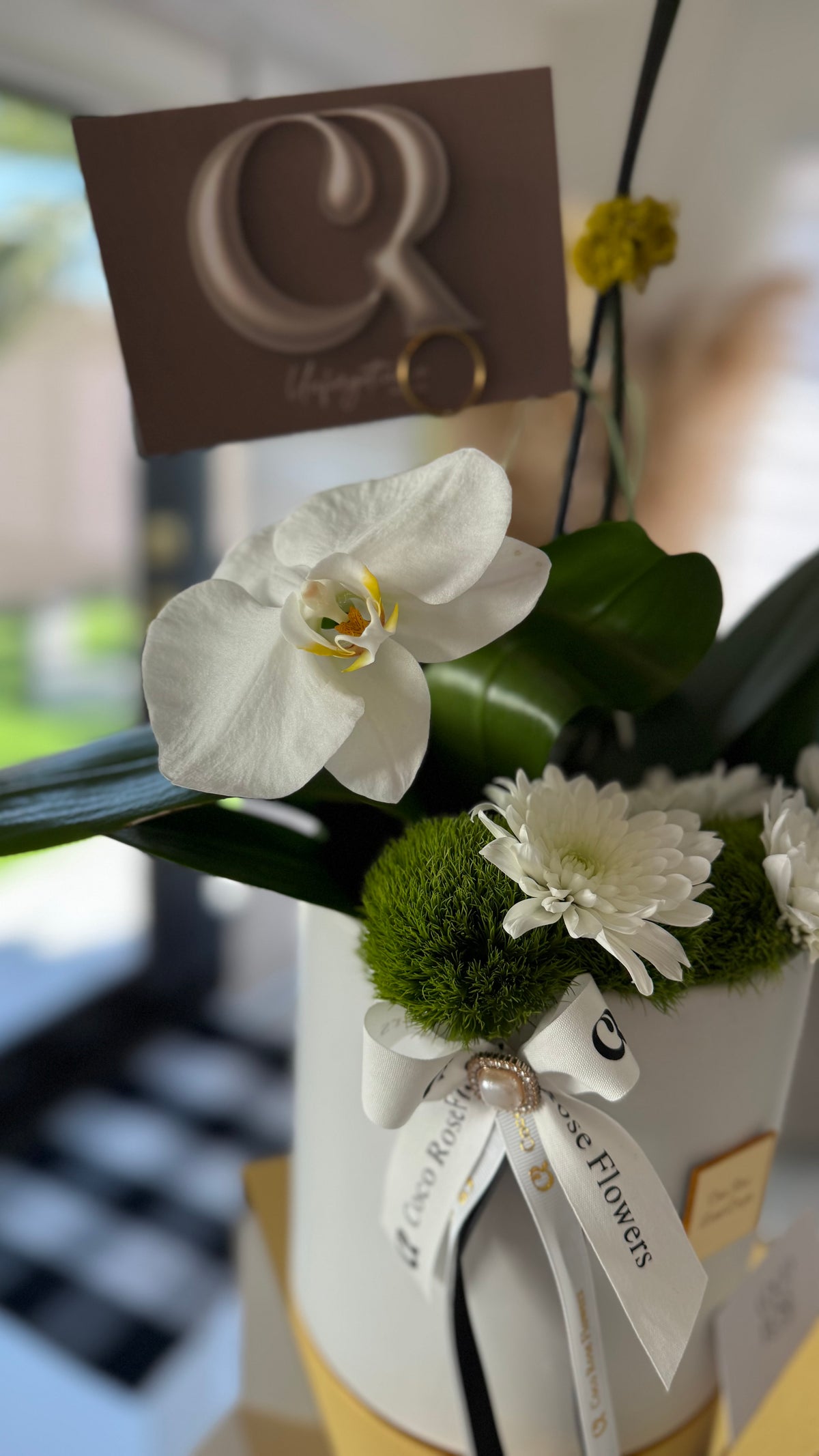 Majesty Orchid Arrangement